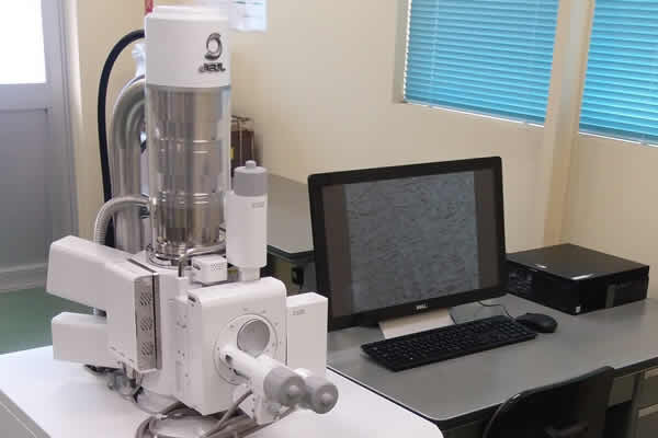 電子顕微鏡（SEM）